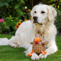 Petface Farmyard Buddies Chunky Chicken Dog Toy