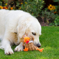 Petface Farmyard Buddies Chunky Chicken Dog Toy