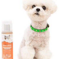 hownd Miracle White and Bright Colour Enhancing Conditioning Shampoo