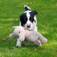 Little PetFace Little Elephant
