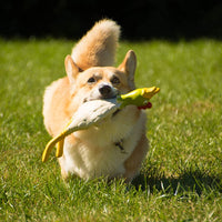 Petface Latex Chicken Squeak Dog Toy, Large