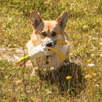 Petface Latex Chicken Squeak Dog Toy, Large
