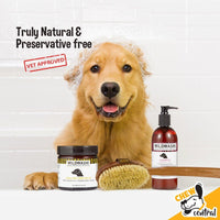 WildWash PRO Magic Paw Balm 50ml - wildwash.pet