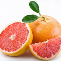 WildWash PRO Fragrance No. 2 Shampoo 300 ml (Grapefruit, Bergamot and Ginger) - wildwash.pet