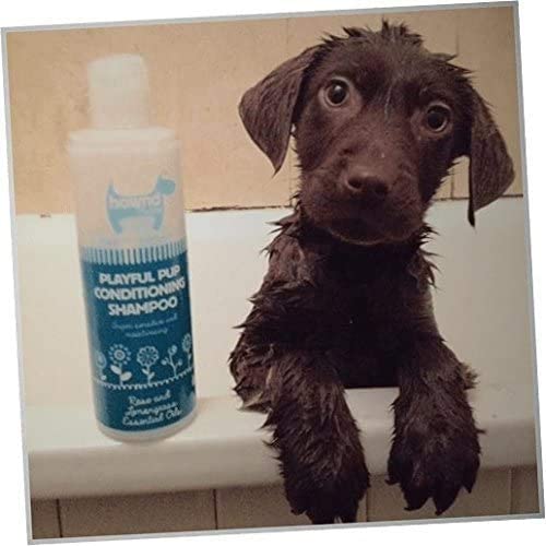 hownd Playful Pup Conditioning Shampoo