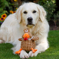 Petface Farmyard Buddies Chunky Chicken Dog Toy