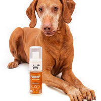hownd Golden Oldies Conditioning Shampoo