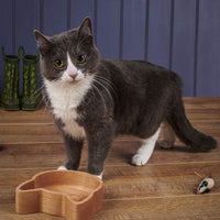The Wood Life Project Cat Bowl